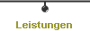  Leistungen 