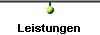  Leistungen 
